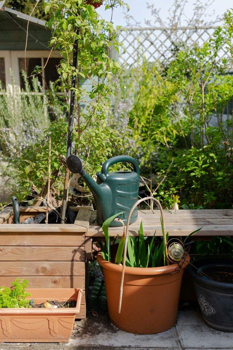 Jardins & Harmonie Provence