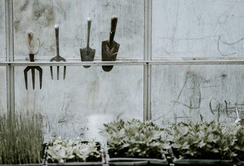 Créer un jardin méditerranéen harmonieux et facile à entretenir