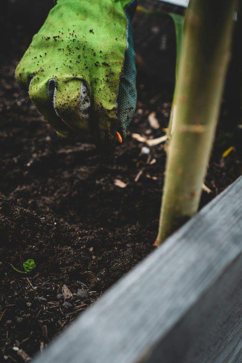 Pourquoi l’entretien régulier change tout dans un jardin