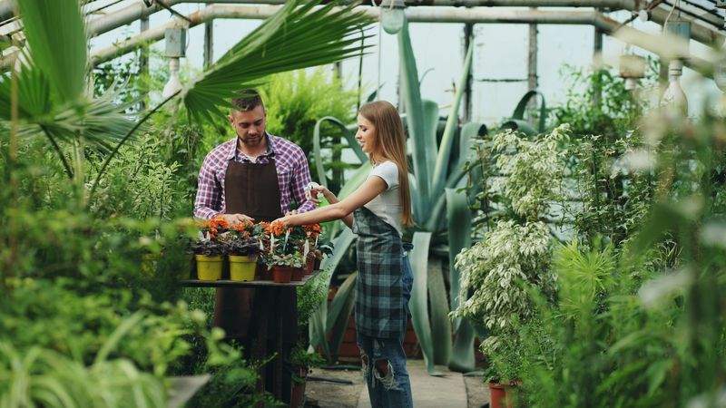 Jardins & Harmonie Provence 5